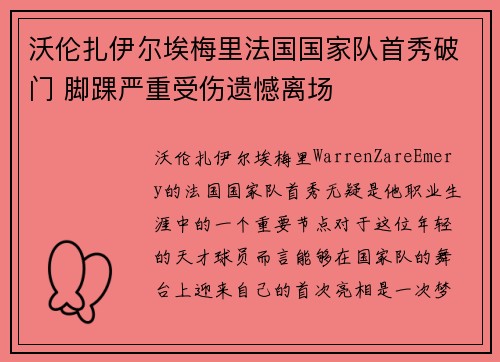 沃伦扎伊尔埃梅里法国国家队首秀破门 脚踝严重受伤遗憾离场